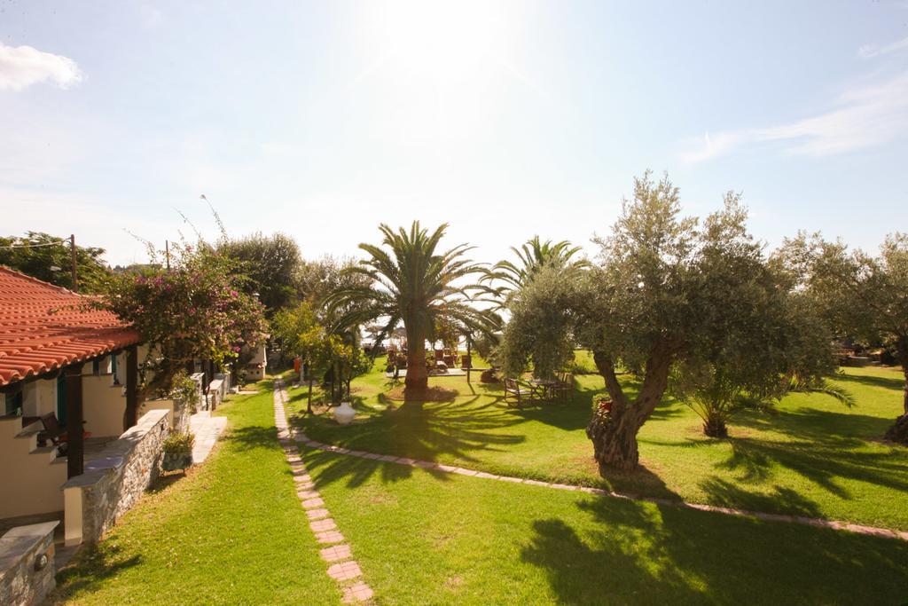 Angeliki Beach Hotel Megali Ammos  Dış mekan fotoğraf