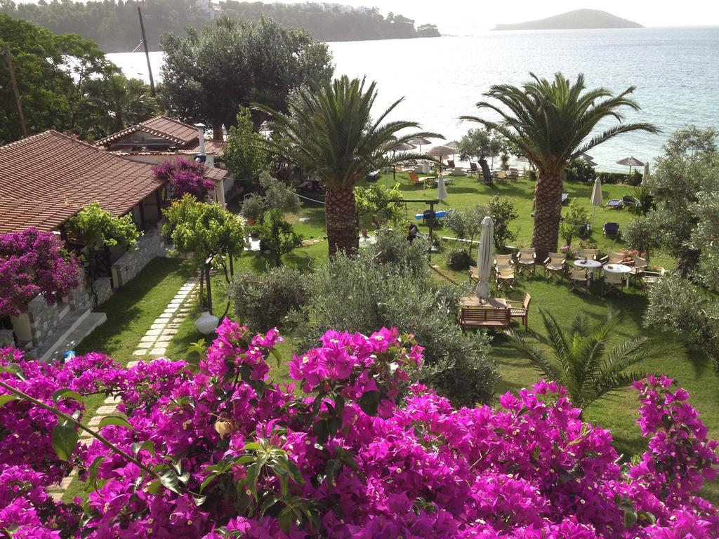 Angeliki Beach Hotel Megali Ammos  Dış mekan fotoğraf